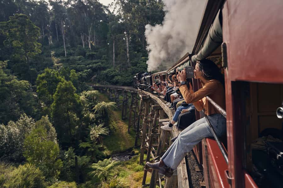 From Melbourne: Puffing Billy Steam Train & Wildlife Tour - Two hours with koalas, kangaroos, and birds