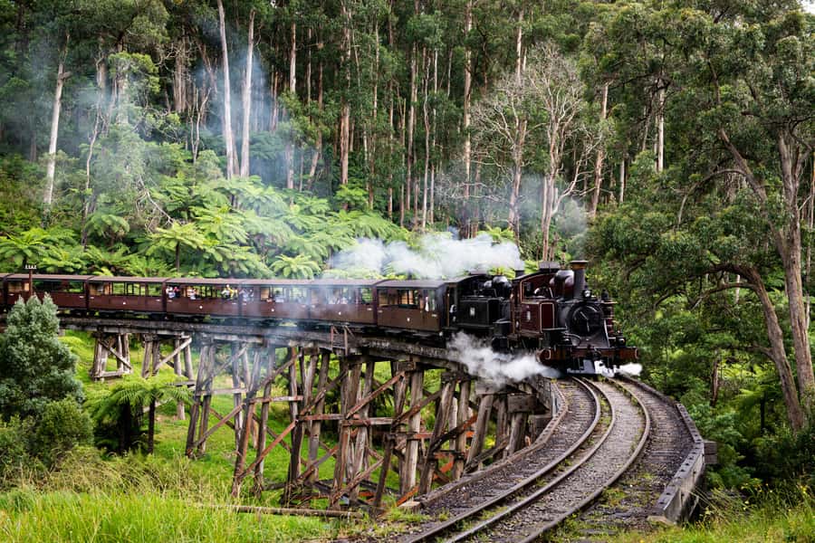 From Melbourne: Puffing Billy Steam Train & Wildlife Tour - Meeting the bus in central Melbourne
