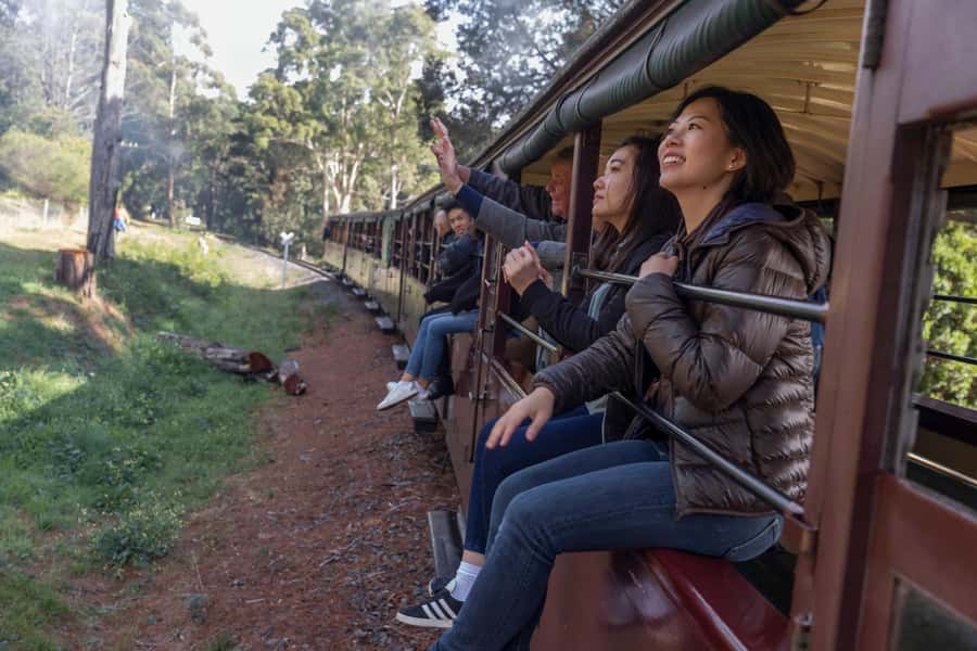 From Melbourne: Puffing Billy Train & Penguin Wildlife Tour - Riding Puffing Billy through the Dandenong Ranges