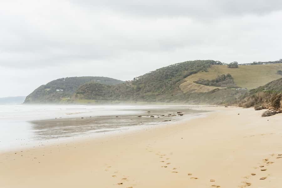 From Melbourne: Small-Group Great Ocean Road Day Trip - Walking through an ancient Australian rainforest