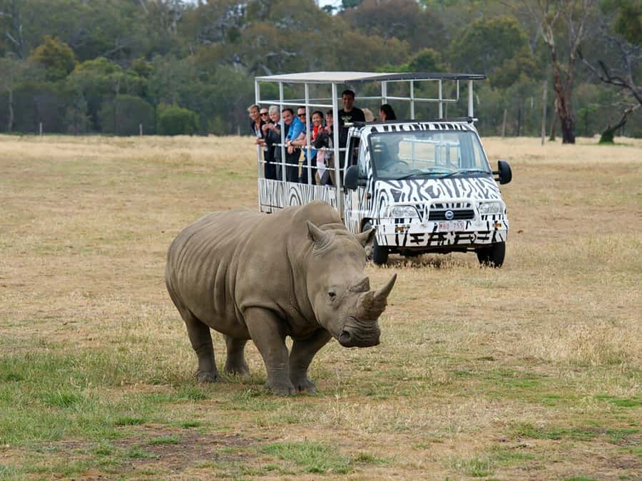 From Melbourne: Werribee Open Range Zoo & Werribee Mansion - Meeting Rick in Melbourne at 9:20 am