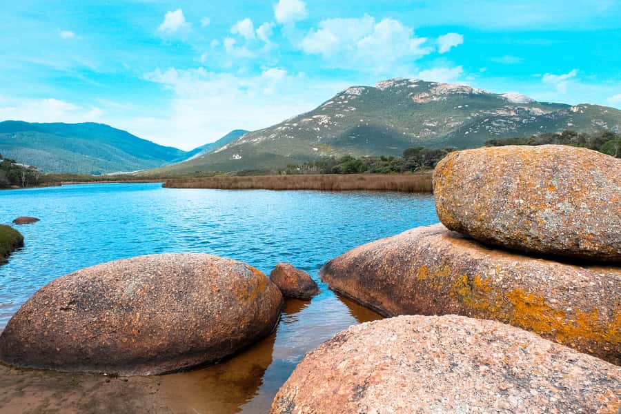 From Melbourne: Wilsons Promontory Small Group Day Tour - The best parts of the day