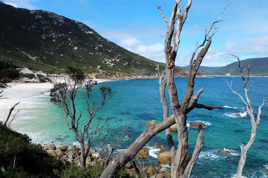 From Melbourne: Wilsons Promontory Small Group Day Tour - Transport, food and what to pack