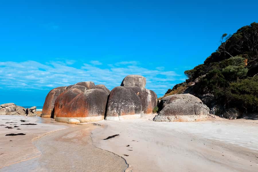 From Melbourne: Wilsons Promontory Small Group Day Tour - Squeaky Beach and its unusual sand