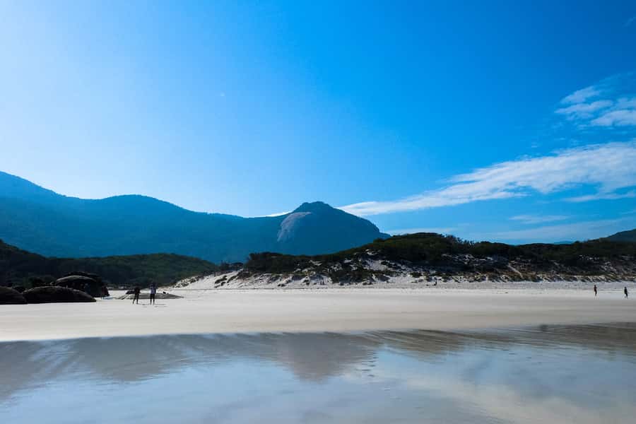 From Melbourne: Wilsons Promontory Small Group Day Tour - Looking for wombats, emus and kangaroos