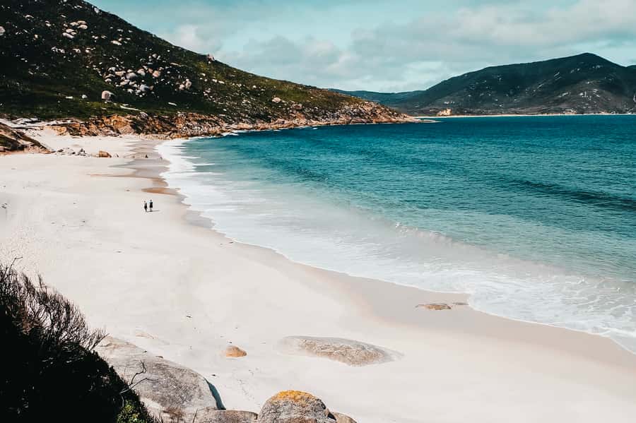 From Melbourne: Wilsons Promontory Small Group Day Tour - What the guides add to the experience