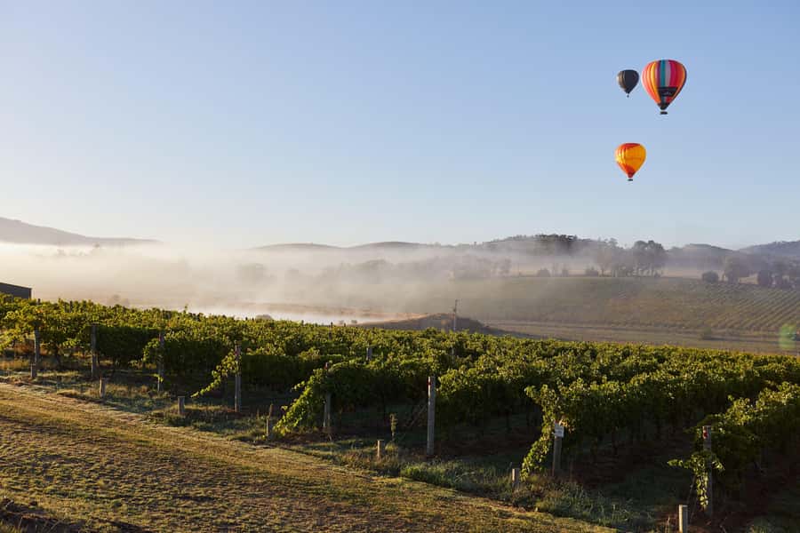 From Melbourne: Yarra Valley Hop-On-Hop-Off Bus Ticket - Booking tastings and avoiding a rushed day