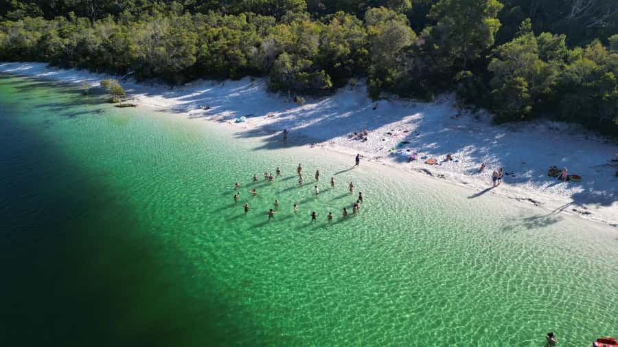 From Noosa: K'gari (Fraser Island) Small-Group Tour - Guides, driving, and the group atmosphere