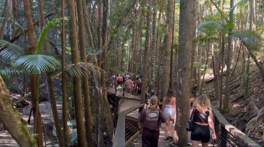 From Noosa: K'gari (Fraser Island) Small-Group Tour - Lake McKenzie, also called Boorangoora