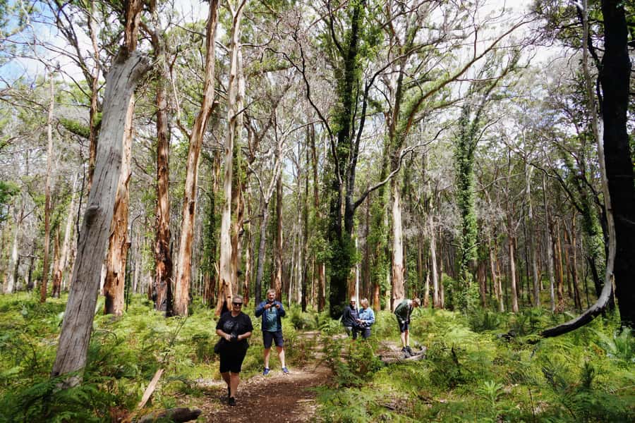 From Perth: Margaret River Region Impression Day Tour - What this Perth to Margaret River day covers