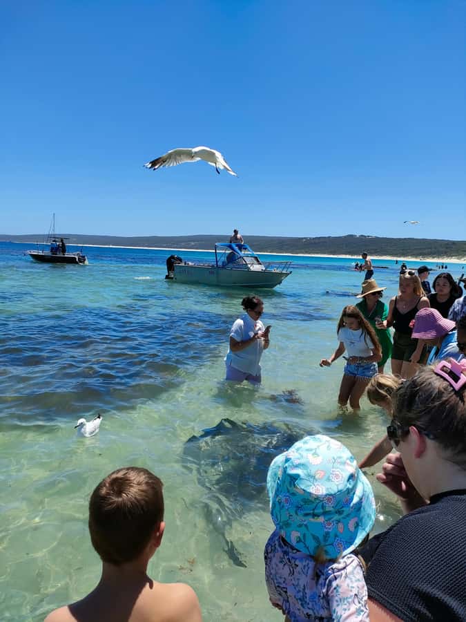 From Perth: Margaret River Region Impression Day Tour - Lunch at Prevelly and the coast at Surfers Point
