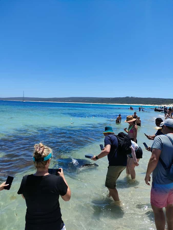 From Perth: Margaret River Region Impression Day Tour - Wine country and the winery stop