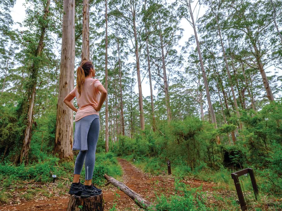 From Perth: Margaret River to Esperance 6-Day Tour - Who should book this adventure?