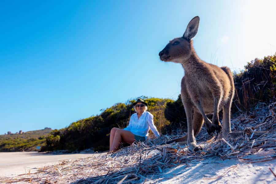 From Perth: Margaret River to Esperance 6-Day Tour - Day 5: Albany, Greens Pool, and the karri forest