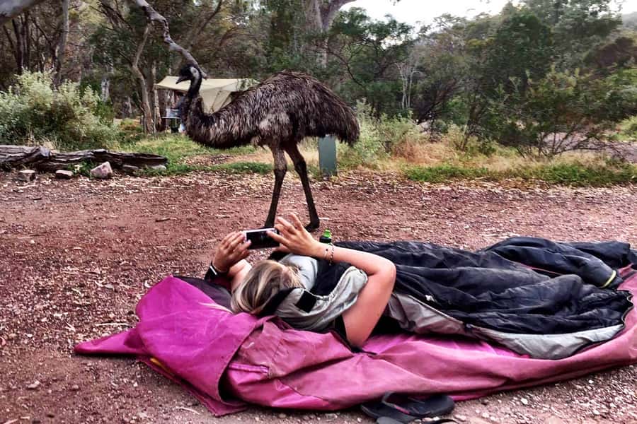 From Perth: Margaret River to Esperance 6-Day Tour - Camping, food, and the real price of $959