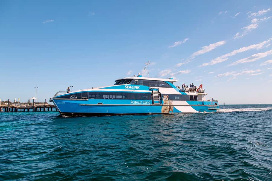 From Perth or Fremantle: Rottnest Island Ferry and Bus Tour - Is the $99 fare good value?