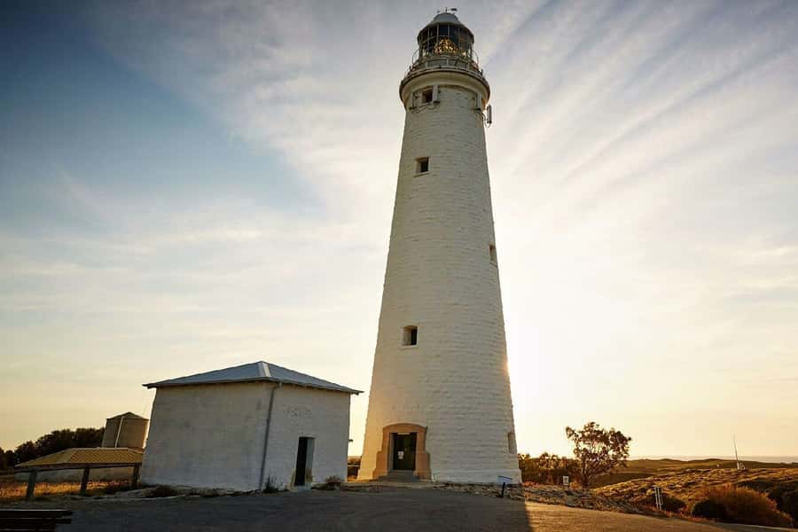 From Perth or Fremantle: Rottnest Island Ferry and Bus Tour - Timing, comfort, and what to bring