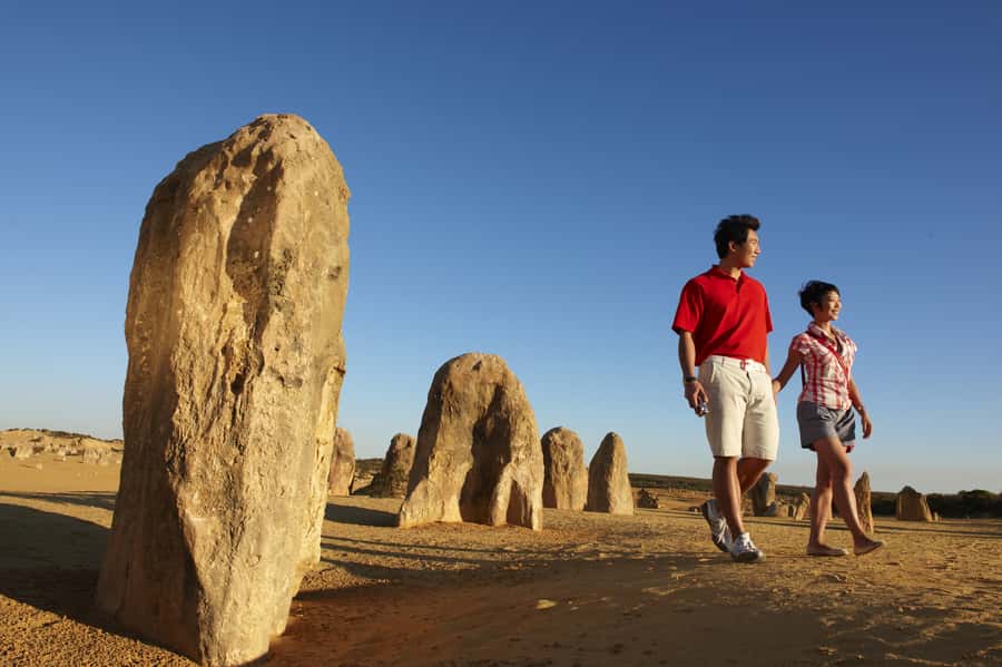 From Perth: Pinnacles Desert, Yanchep & Swan Valley Day Tour - Yanchep National Park and the First Wildlife Stop