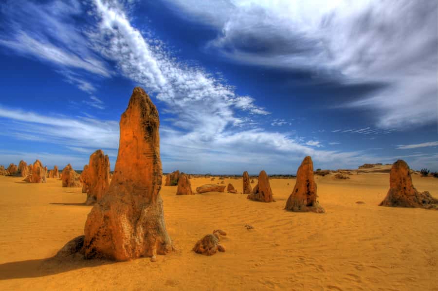 From Perth: Pinnacles Desert, Yanchep & Swan Valley Day Tour - Cervantes Fish and Chips at Midday