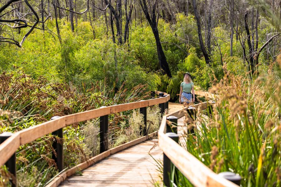 From Perth: Pinnacles Lobster Shack and Yanchep Day Trip - Cervantes and the Lobster Shack lunch