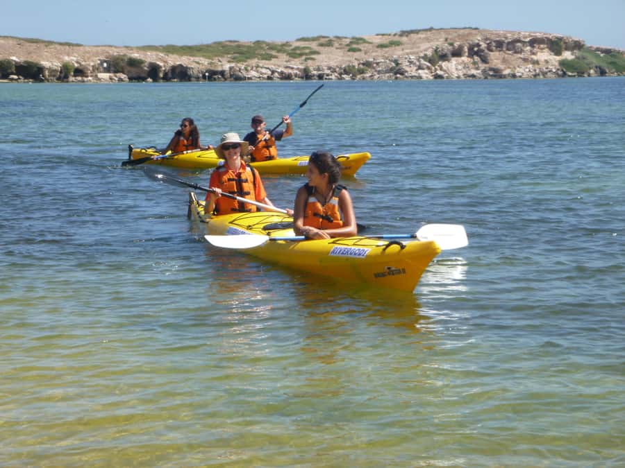 From Perth: Rockingham Seal & Penguin Islands Sea Kayak Tour - What the $140 price really covers