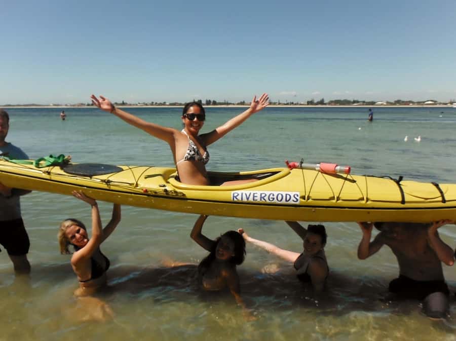 From Perth: Rockingham Seal & Penguin Islands Sea Kayak Tour - Seal Island and the Australian sea lions