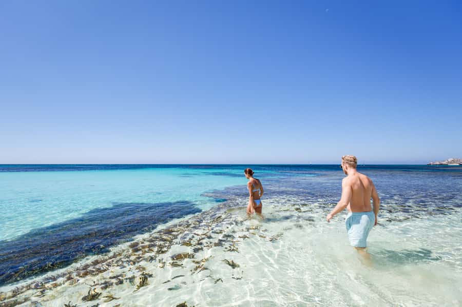 From Perth: Rottnest Island Ferry & Bus Day Tour - Key points to know before you book