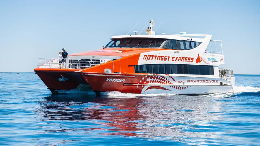 From Perth: Rottnest Island Ferry & Bus Day Tour - Quokkas and the appeal of Rottnest wildlife