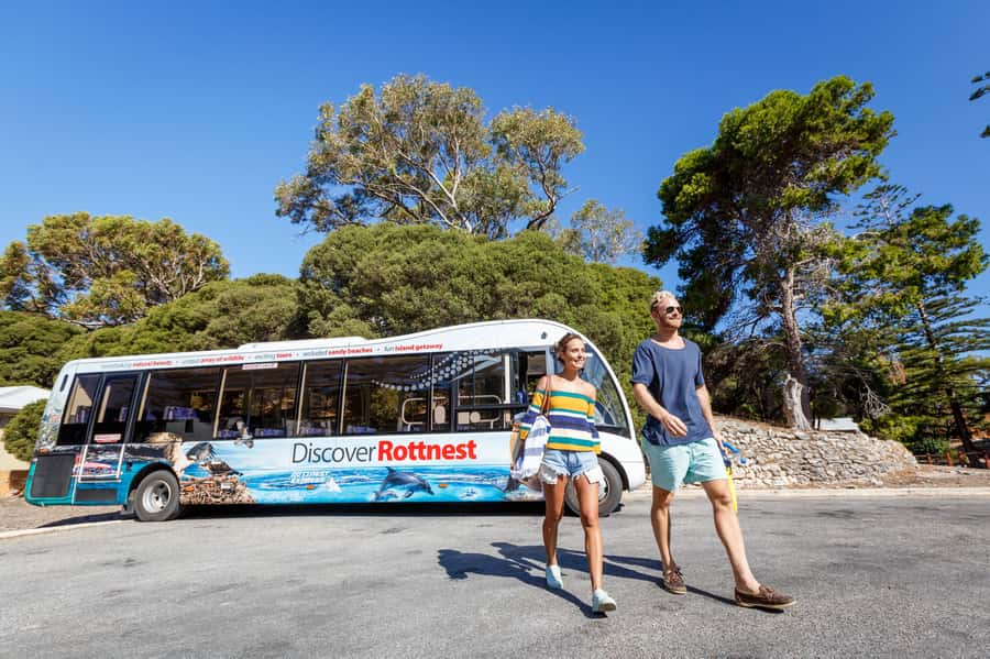From Perth: Rottnest Island Ferry & Bus Day Tour - Arriving at Thomson Bay and finding the bus