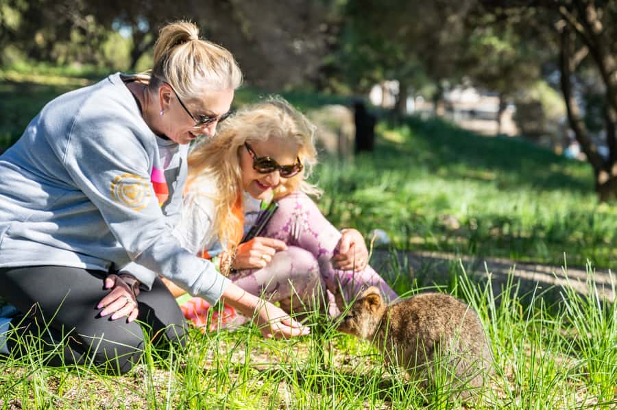From Perth: Rottnest Island Full-Day Bike and Ferry Trip - Key points to know before booking