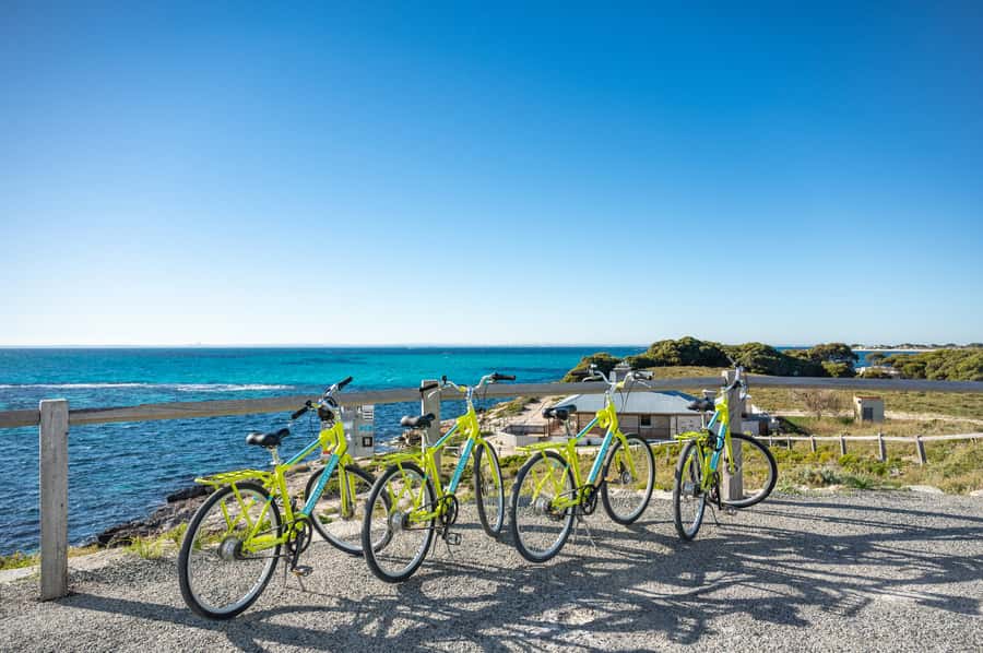 From Perth: Rottnest Island Full-Day Bike and Ferry Trip - What the $84 price really includes