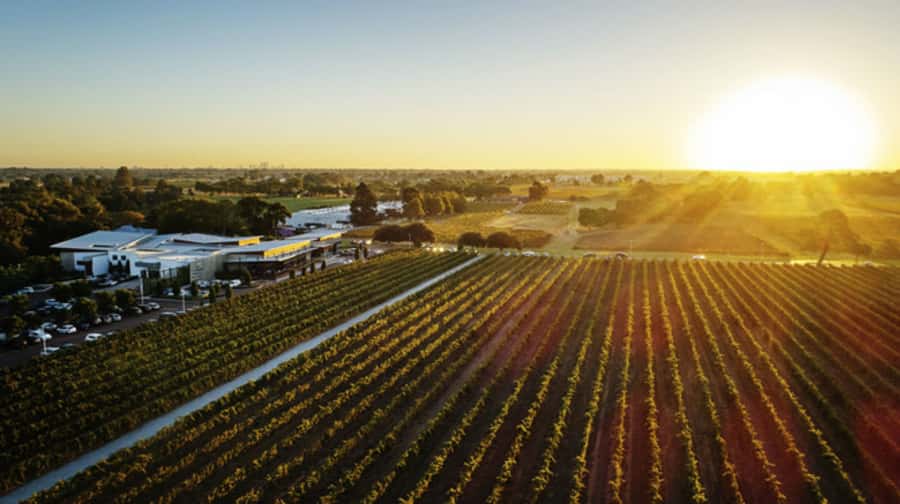 From Perth: Swan Valley Cruise, Winery, Cheese & Lunch - Perth to Swan Valley by boat