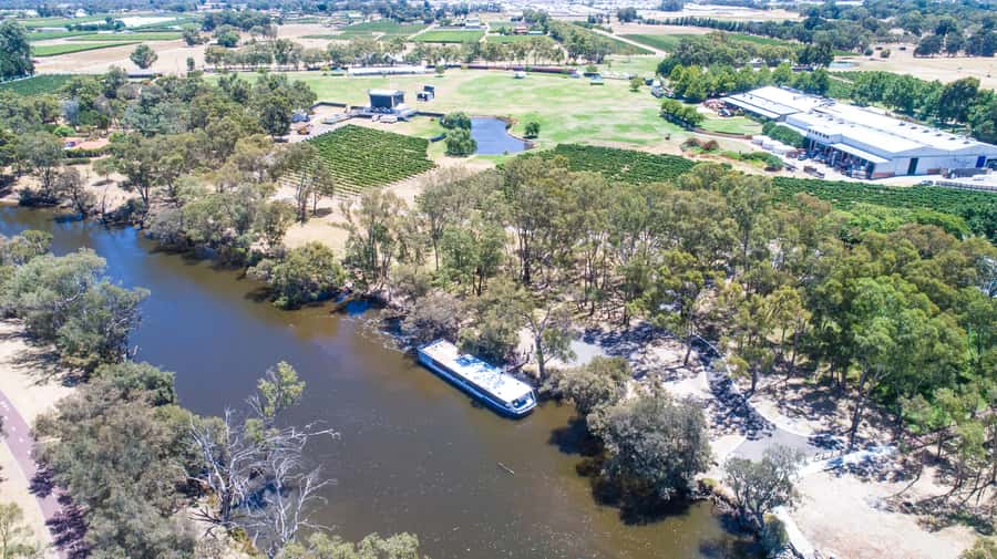 From Perth: Swan Valley Cruise, Winery, Cheese & Lunch - The return cruise becomes the social highlight