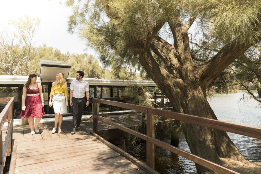 From Perth: Swan Valley Cruise, Winery, Cheese & Lunch - Useful things to bring and plan for
