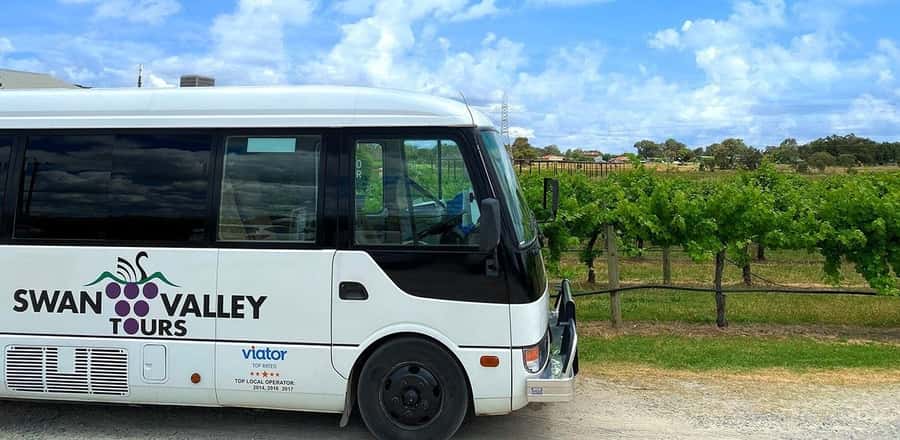 From Perth: Swan Valley Winery & Brewery Day Tour With Lunch - Beer and snacks at two boutique breweries
