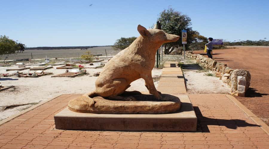 From Perth: Wave Rock, York and Aboriginal Cultural Tour - The Dog Cemetery and Australian country life