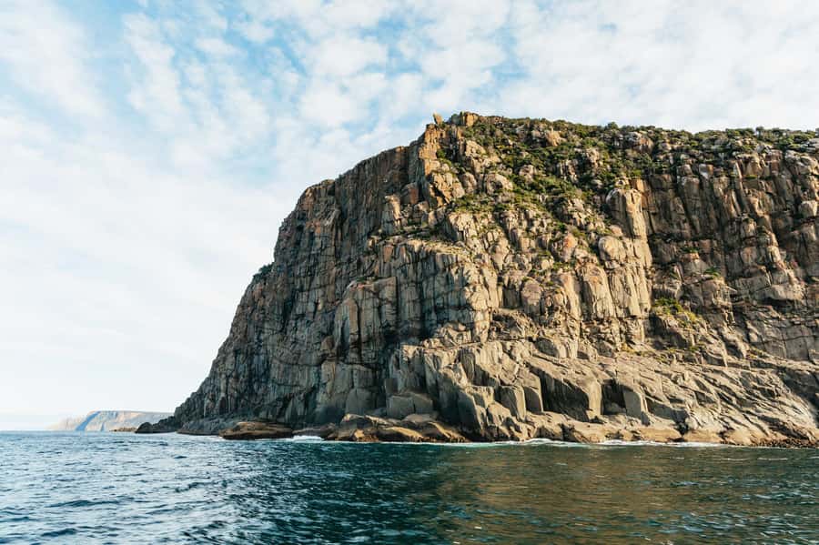 From Port Arthur: Tasman Island Wilderness Cruise - Why this Port Arthur cruise is worth your time