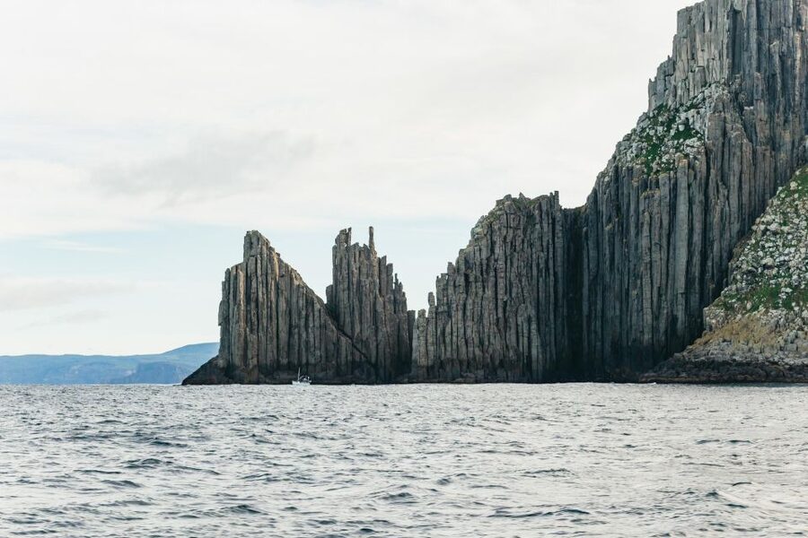 From Port Arthur: Tasman Island Wilderness Cruise - Seals, dolphins, seabirds, and migrating whales