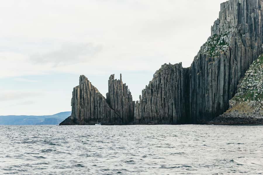 From Port Arthur: Tasman Island Wilderness Cruise - What $127 buys you