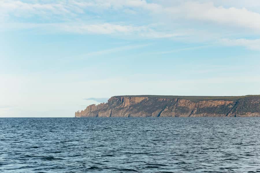 From Port Arthur: Tasman Island Wilderness Cruise - Who should book this experience