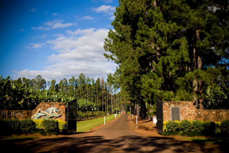 From Port Douglas: Atherton Tablelands Adventure - Spirits at Mt Uncle Distillery