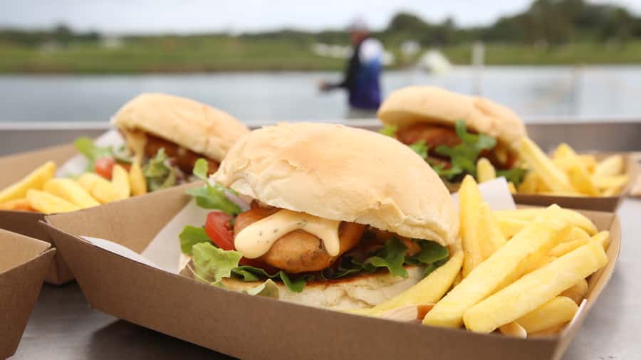 From Port Douglas: Barramundi Pond Fishing with Lunch - Why this Daintree fishing trip works for families