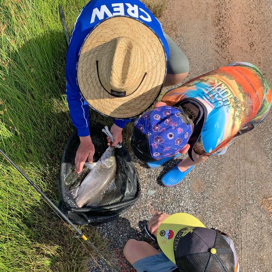 From Port Douglas: Barramundi Pond Fishing with Lunch - Inside the barramundi farm
