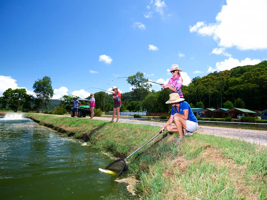 From Port Douglas: Barramundi Pond Fishing with Lunch - One hour beside the earthen ponds