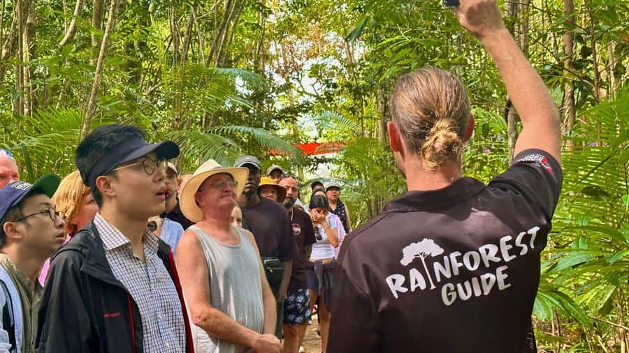 From Port Douglas: Daintree Rainforest & Mossman Gorge Tour - Key points to know before booking