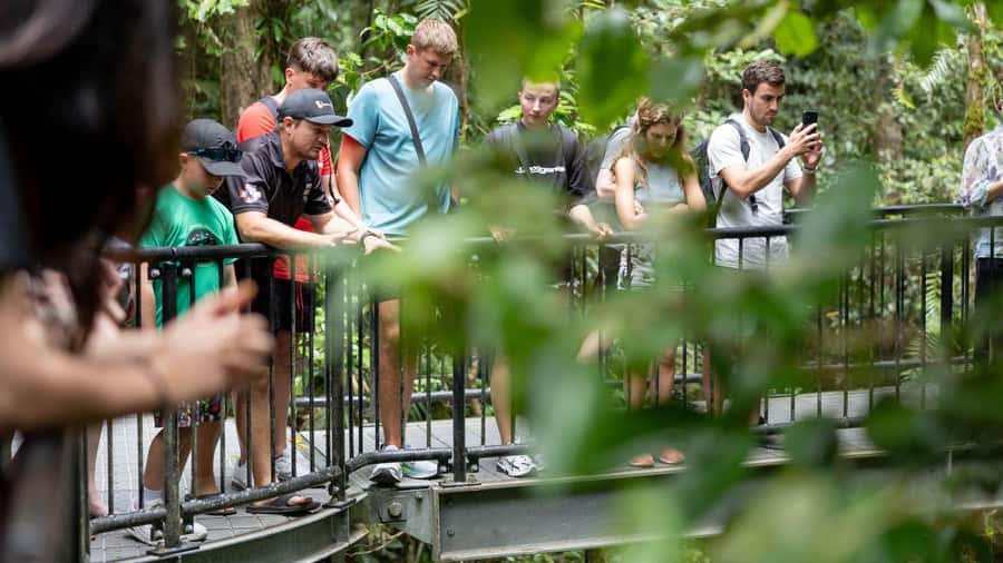 From Port Douglas: Daintree Rainforest & Mossman Gorge Tour - Why this Daintree day trip works well