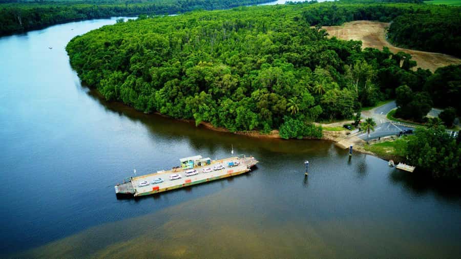 From Port Douglas: Daintree Rainforest & Mossman Gorge Tour - The ferry and the return to Port Douglas