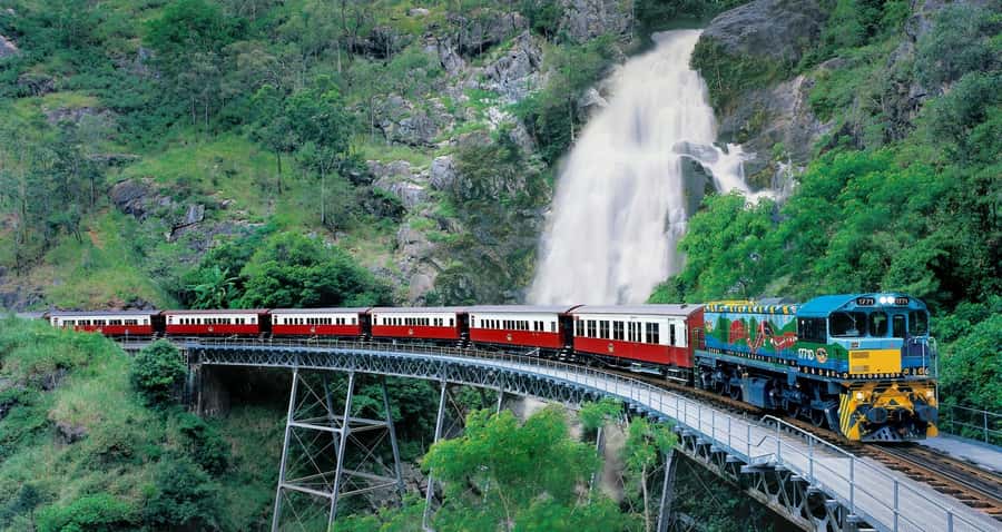 From Port Douglas: Kuranda Tour with Skyrail & Scenic Train - A full day from Port Douglas to the rainforest