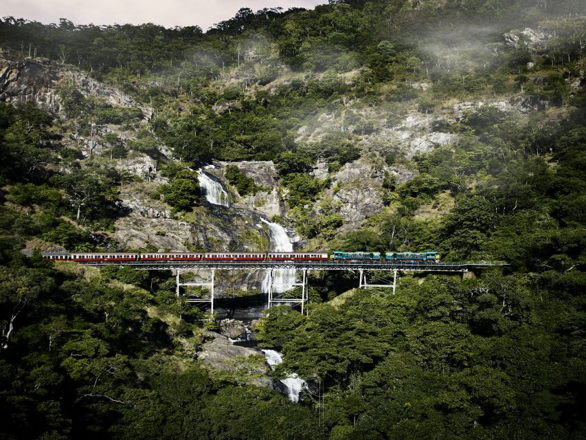 From Port Douglas: Kuranda Tour with Skyrail & Scenic Train - Guides bring the day together