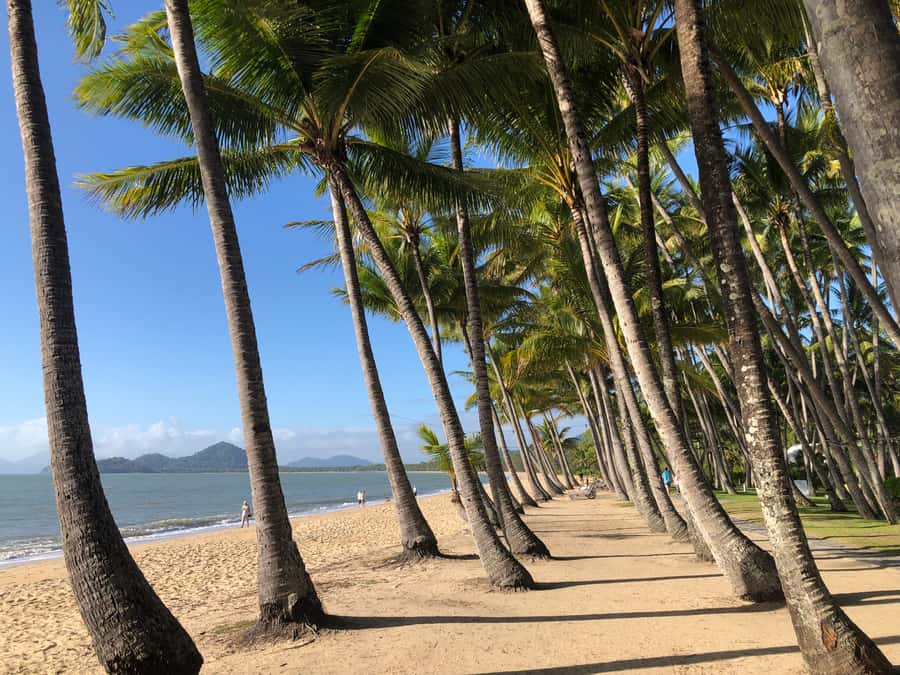 From Port Douglas: Kuranda via Scenic Rail or Skyrail Option - Key points at a glance